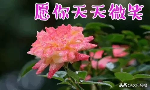 《2019新年贺卡》,致我所有的微信好友!