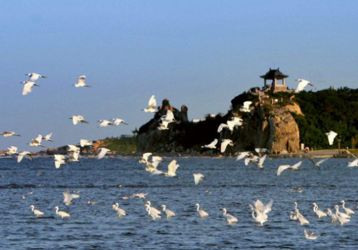 燕山大学2017-2018年录取分数线