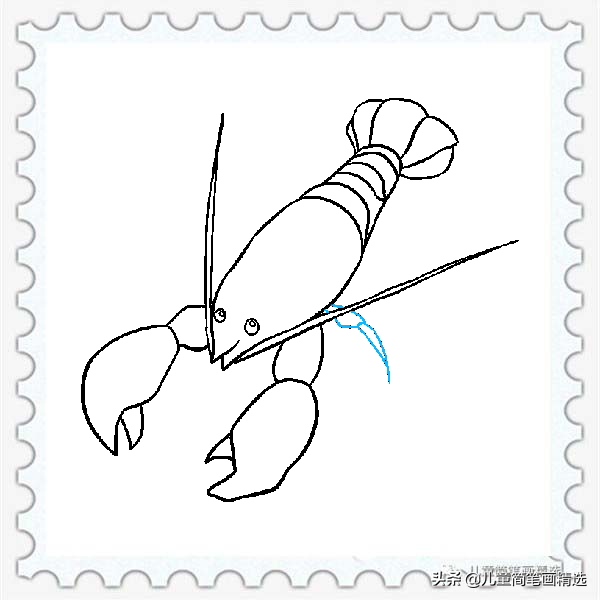 儿童简笔画精选-如何画一只龙虾（Lobster）