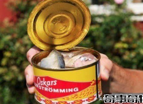 世界上最臭的食物鲱鱼罐头