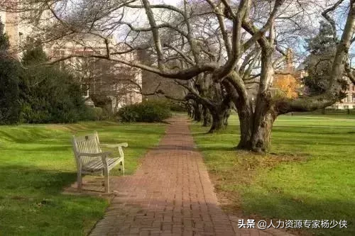 DISC到底是什么鬼？