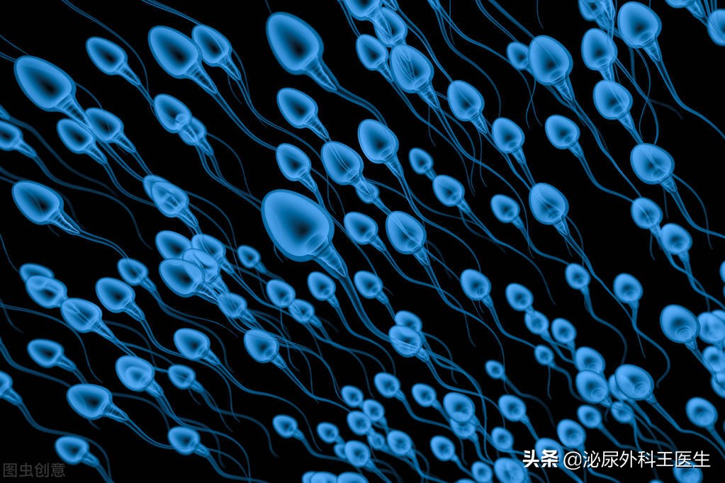 如何科学提升精子质量？