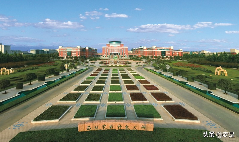 王昕（女），西北农林科技大学教授、博导，动物育种专家