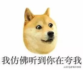 扫盲丨幼升小入门必须知道的11个名词和暗语！