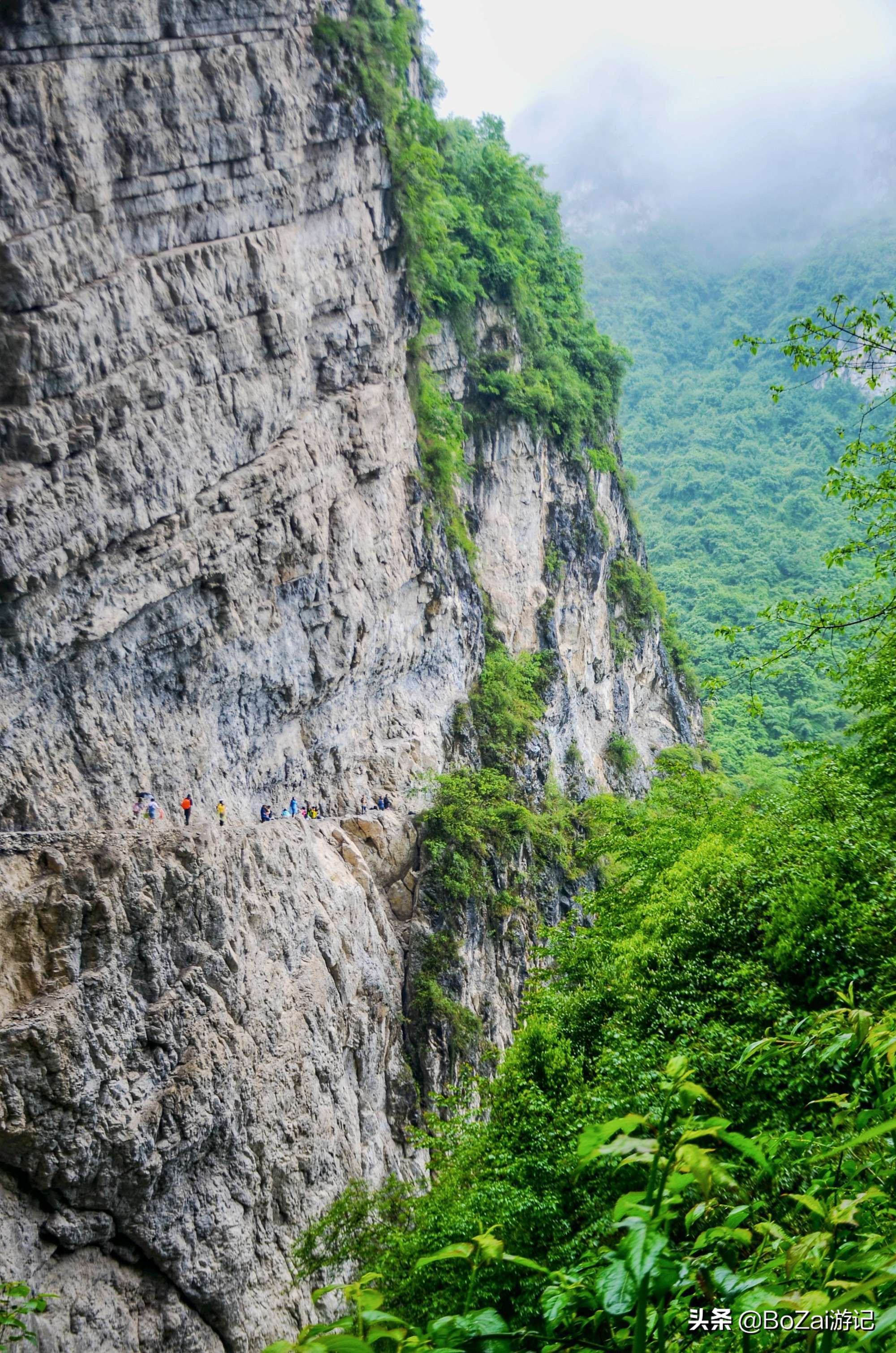 到四川阿坝旅游不能错过的19个景点，你去过几个？最爱哪个景点