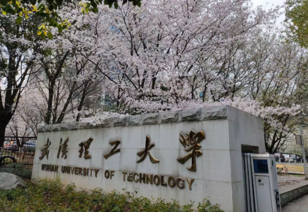 安徽高考生成绩超一本线7分，捡漏武汉211大学，填报志愿很重要