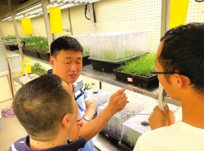 卓越之光照亮奋进之路——走近河南大学生命科学学院院长张立新教授