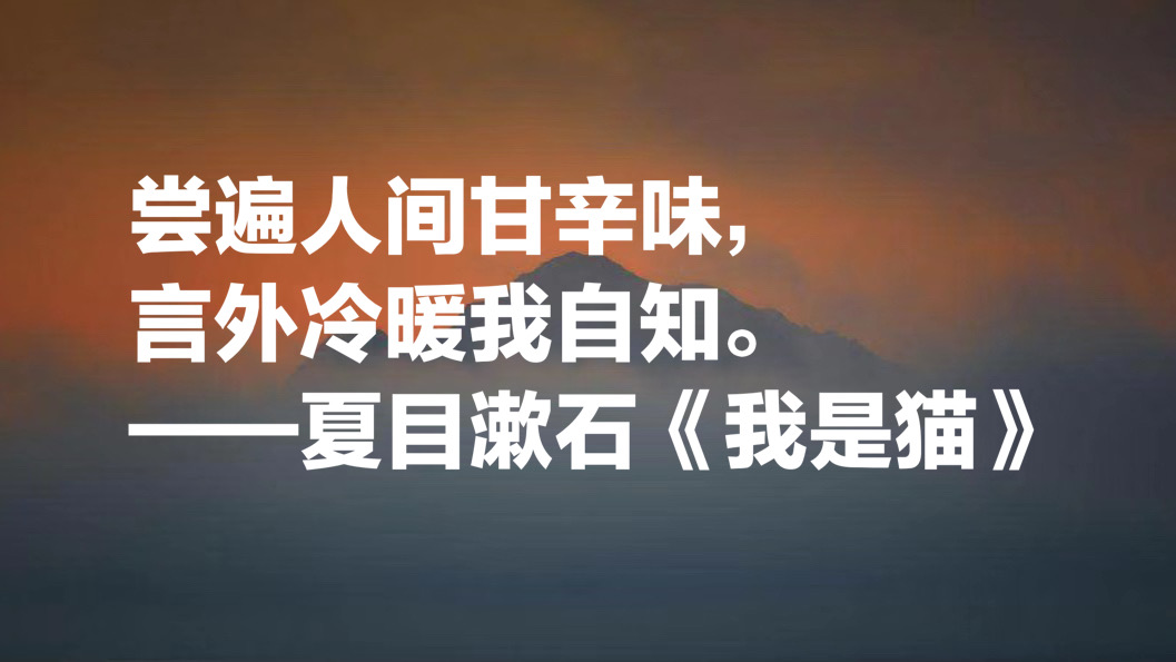 日本文学巨匠夏目漱石，代表作《我是猫》十句摘抄，句句轻快洒脱