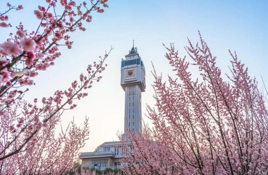 短短4个月，江苏6位本科生成果登上国际期刊，还都来这所大学！