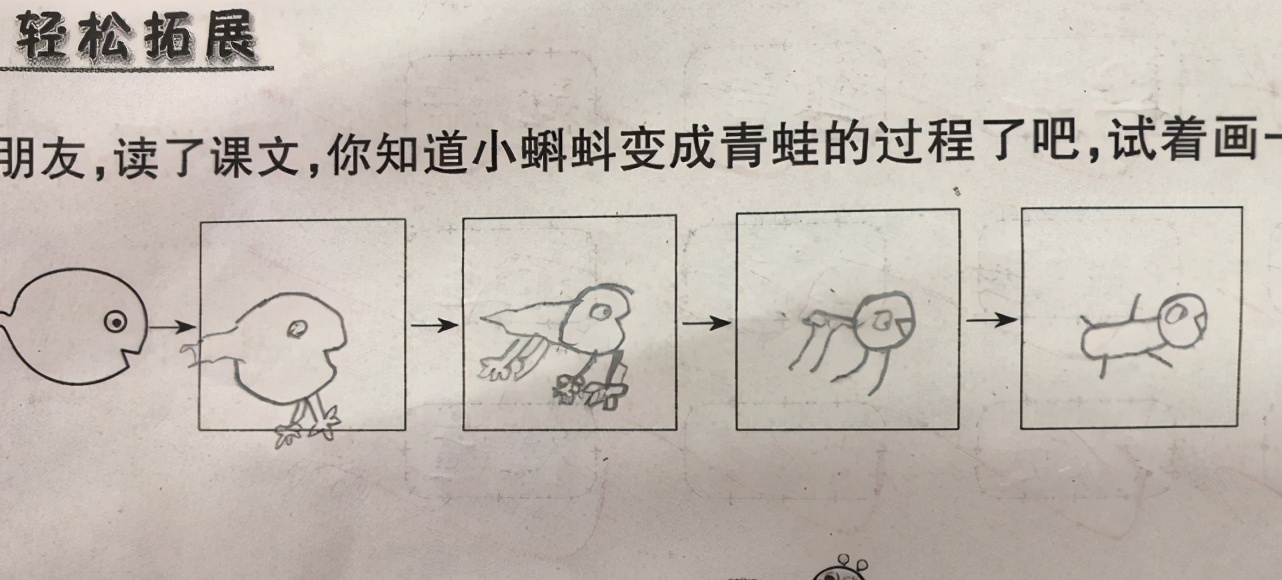 小学生在作业上画“青蛙”，老师看后一脸问号，网友：灵魂画手