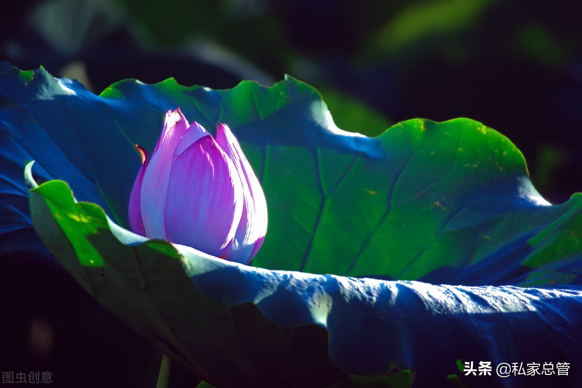 珍惜当下，活在当下，如此安好
