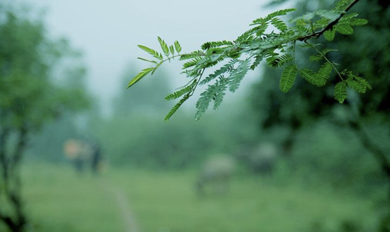 佛教与清明节