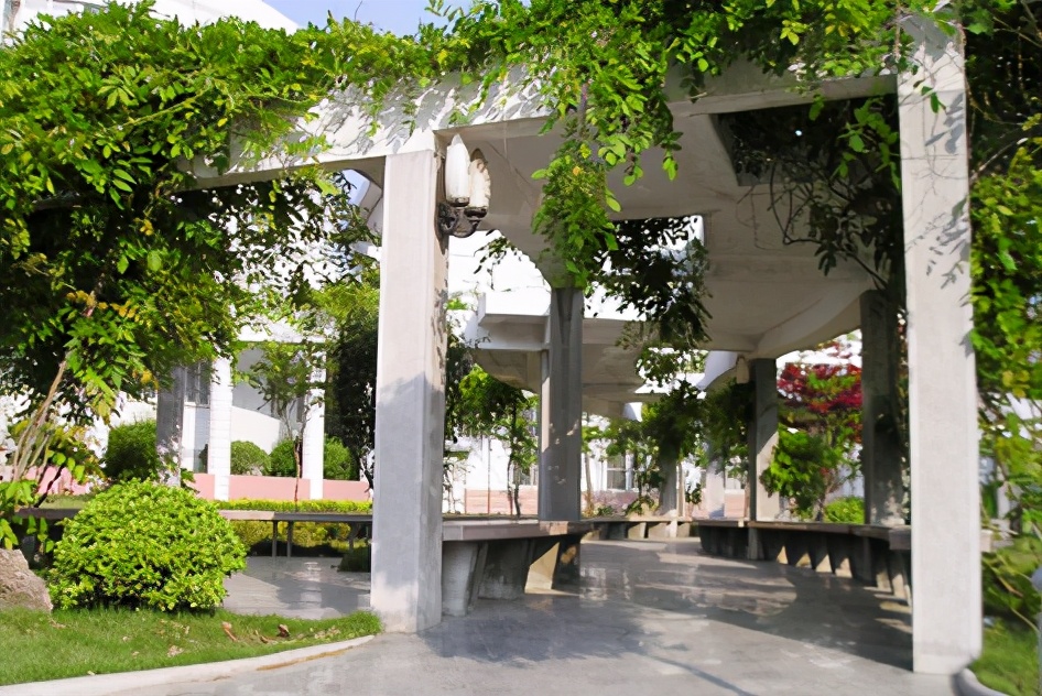 安徽合肥中学榜单出炉，五所学校入选，当地称为“五小天王”