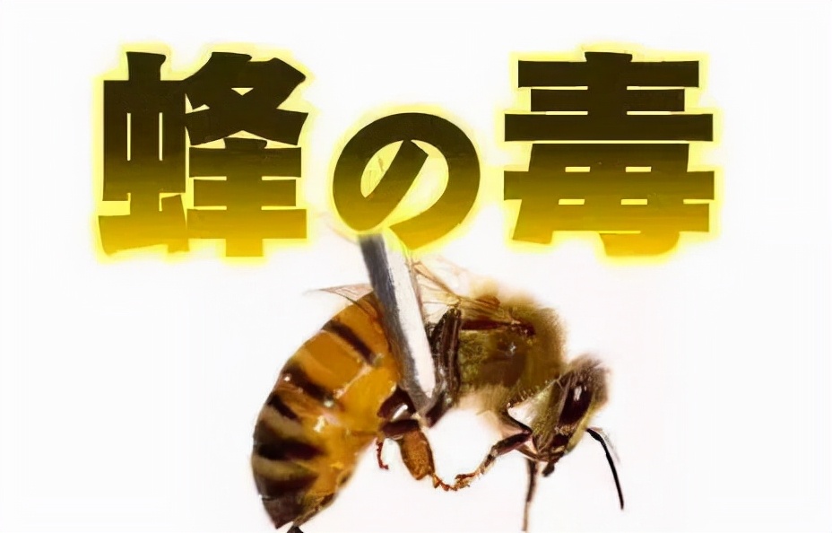 罕见！四川一男子收获2.4米196斤红娘大黑蜂蜂窝，它究竟有多毒？
