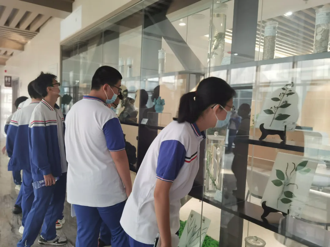 市实验学校高二学生到淄博市中医医院东院区体验中医药文化