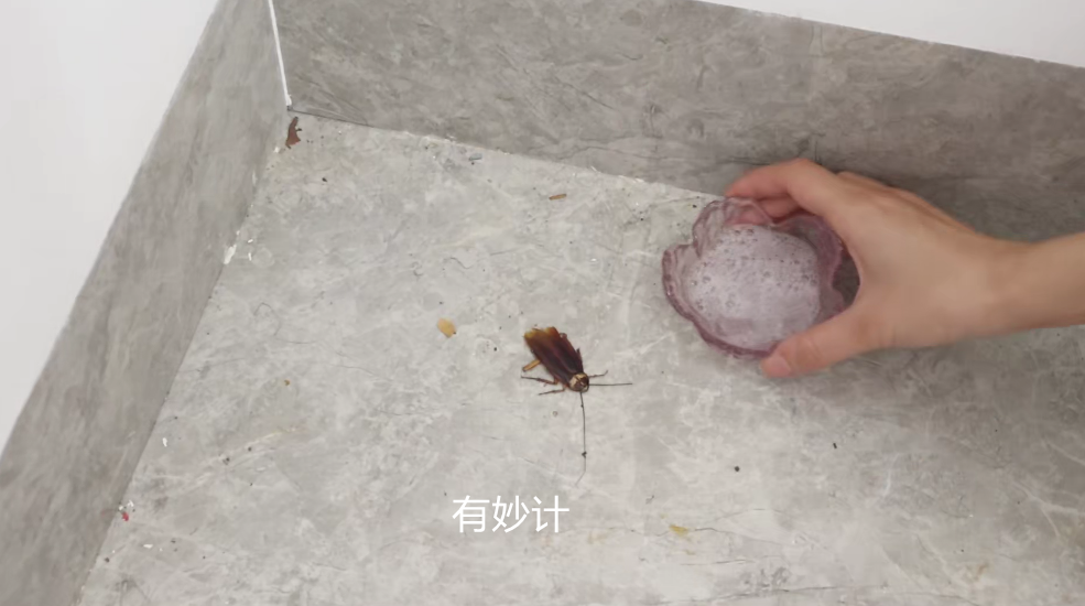 洗衣粉和白糖放在一起，解决家庭大难题，简单又实用，快学起来