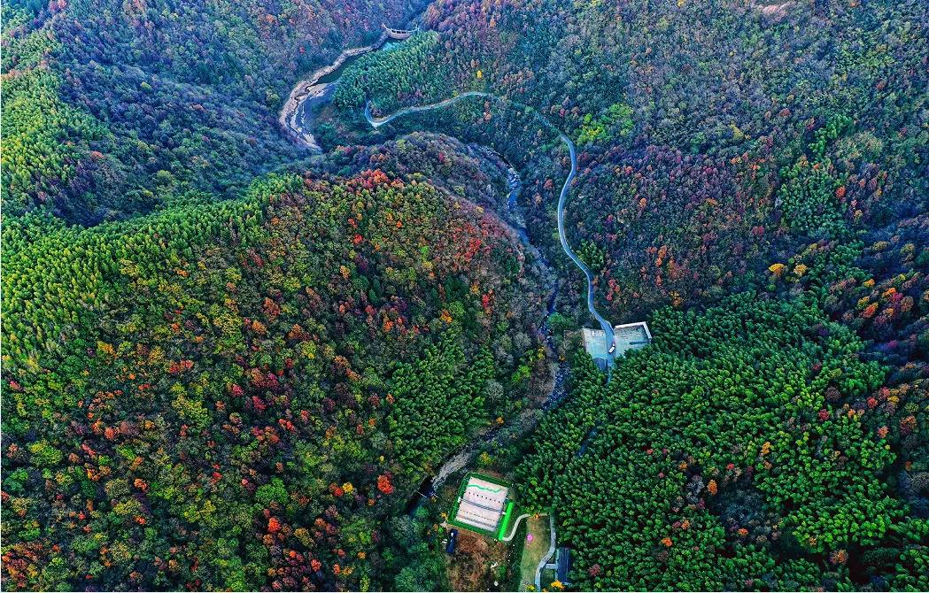 这里私藏了醉美的秋景！层林渐染，美到心醉