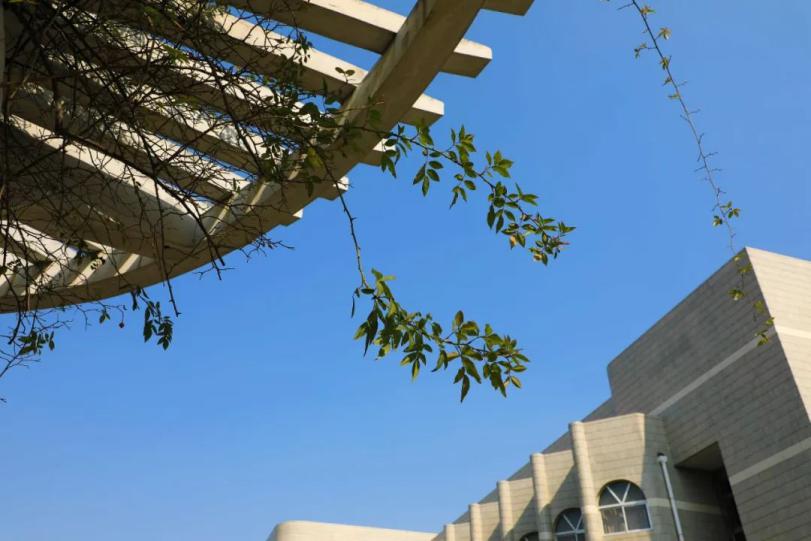 开始报名！河南大学2020运动训练、武术与民族传统体育专业招生简章公布！