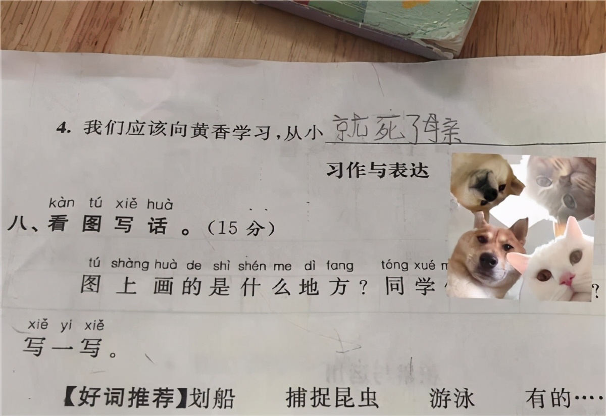 小学生作业又出“新包袱”，哑巴吃黄连的下一句：聋子喝绿茶