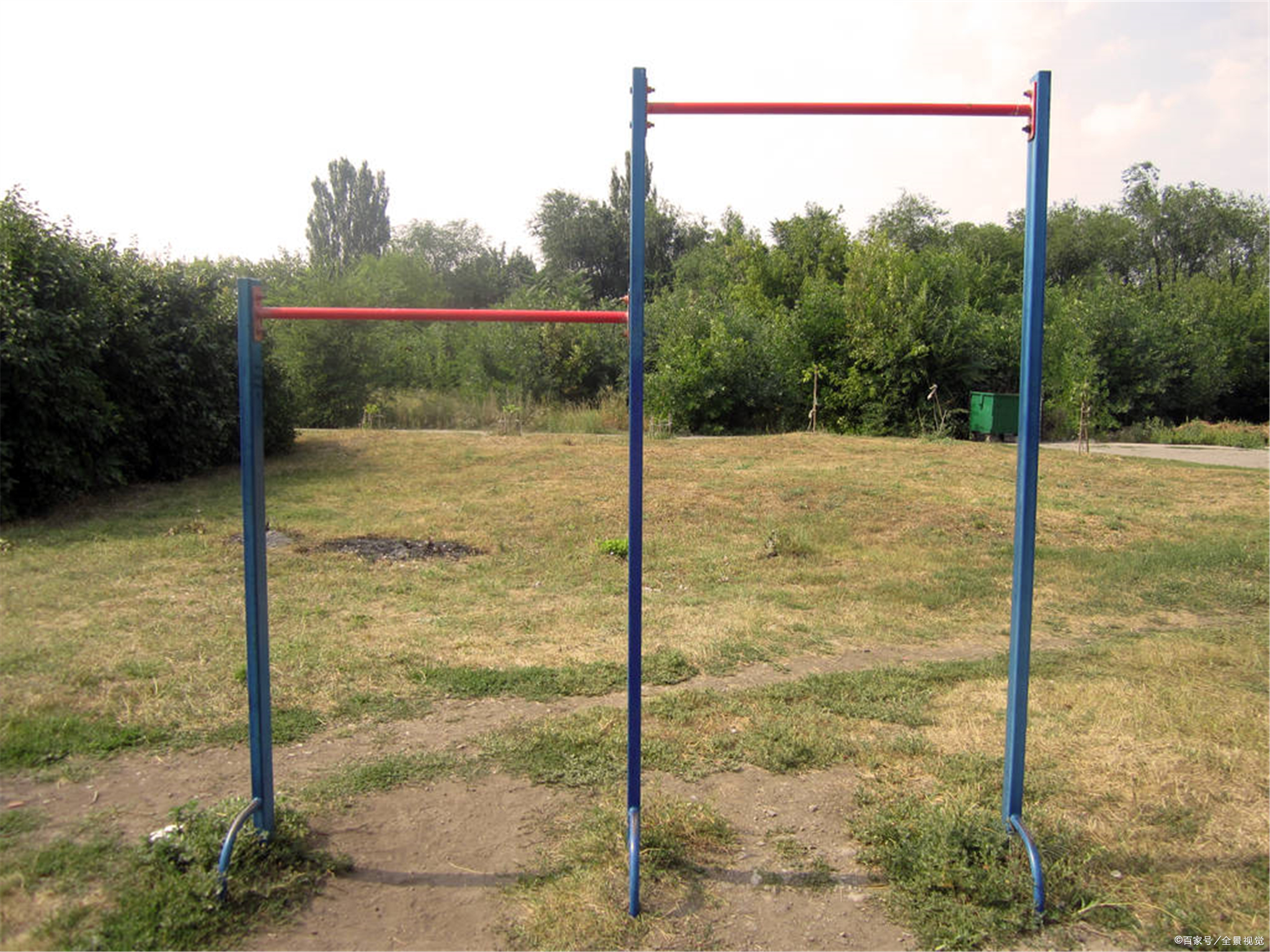 我的学校的作文（我的校园）