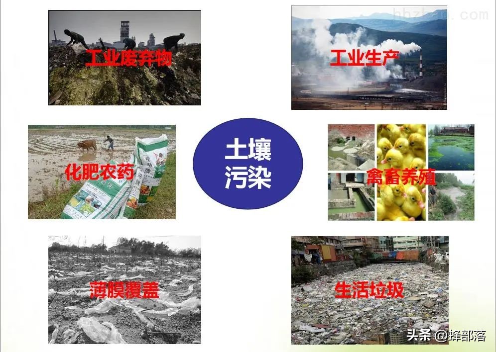 农业农村部：2021年耕地补贴1205亿，直补到户，看看哪些人受益？