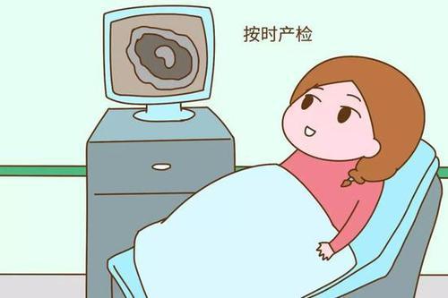 为什么孕妇胎停越来越普遍？这些是“罪魁祸首”，第四个最重要