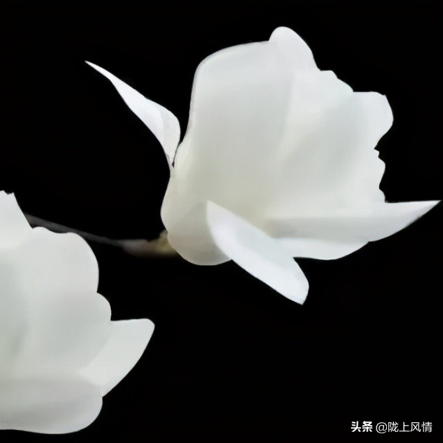 慎终追远一一怀念我的父亲
