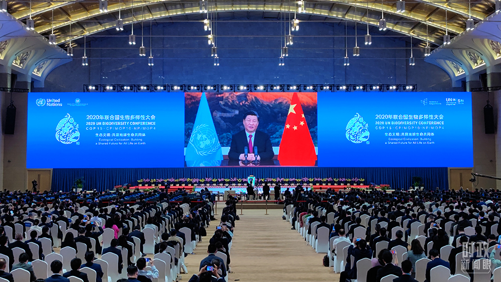 时政新闻眼丨在这场领导人峰会上，习近平阐述生物多样性保护的中国主张
