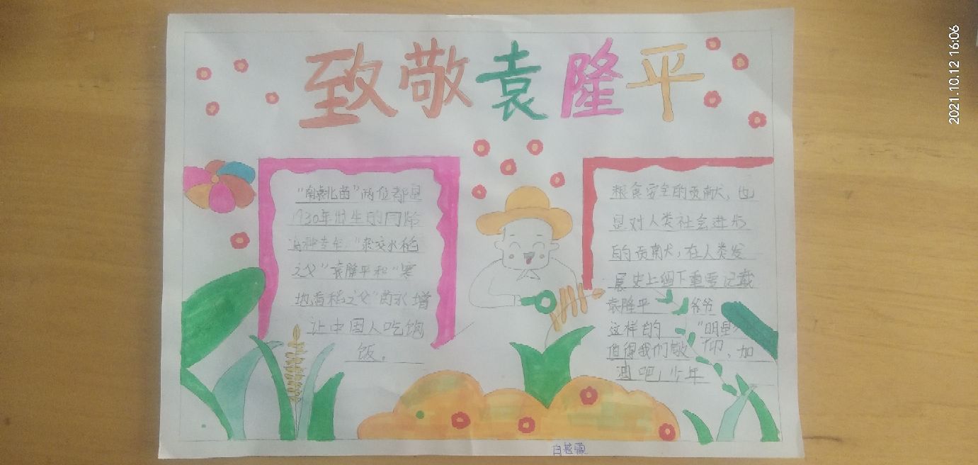 “手抄报”让教学一举多得——小学生笔下的袁隆平爷爷