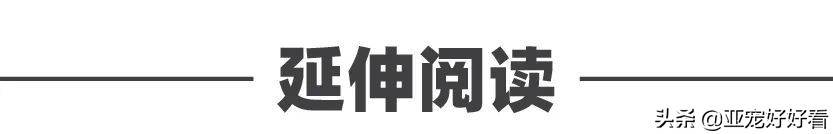 亚宠云课堂∣4月21日吴起支招宠物门店如何避免不当犬猫服务操作