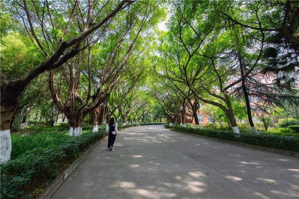 成都20年前建的民办学校今安在？有的已销声匿迹