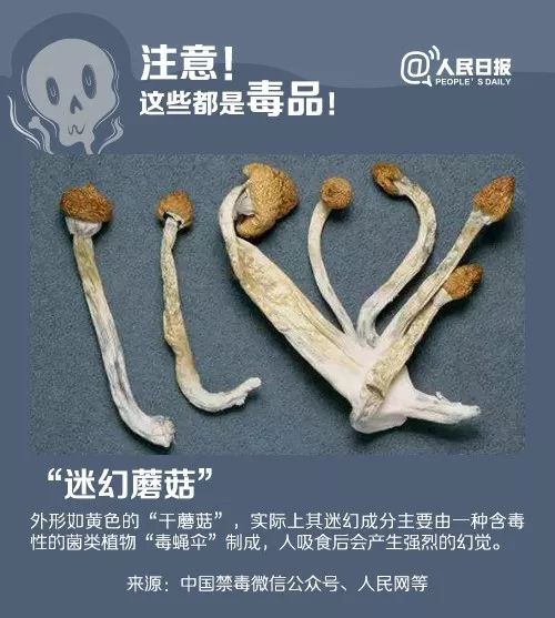 南雄房屋出租,南雄房屋出租网