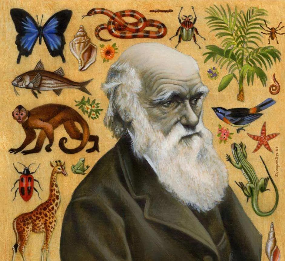 达尔文的进化论到底是对的还是错的？