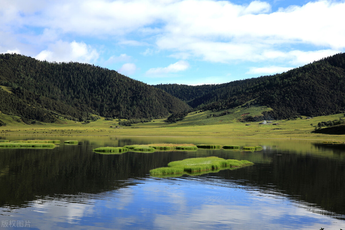 南湖秋水夜无烟下句（王昌）