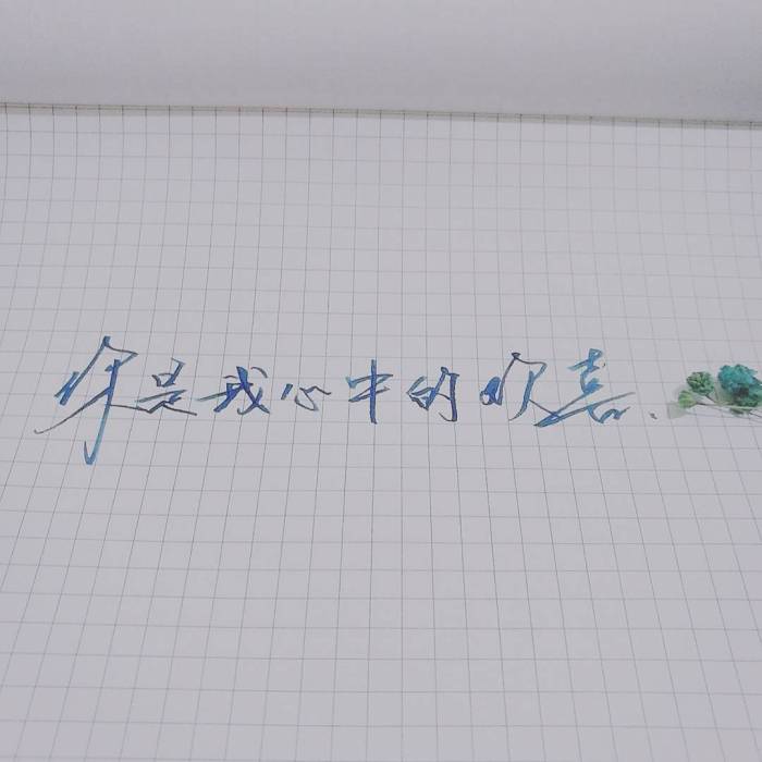 愿我一回眸的瞬间，望见你如花的笑颜