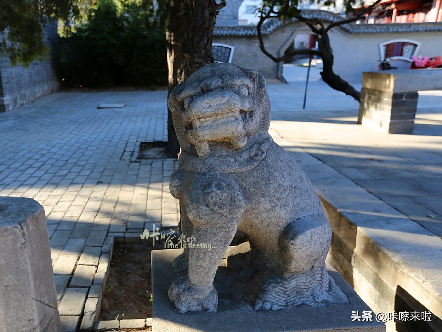 河北有座底蕴深厚的小城，离北京很近，高铁直达，适合冬季一日游