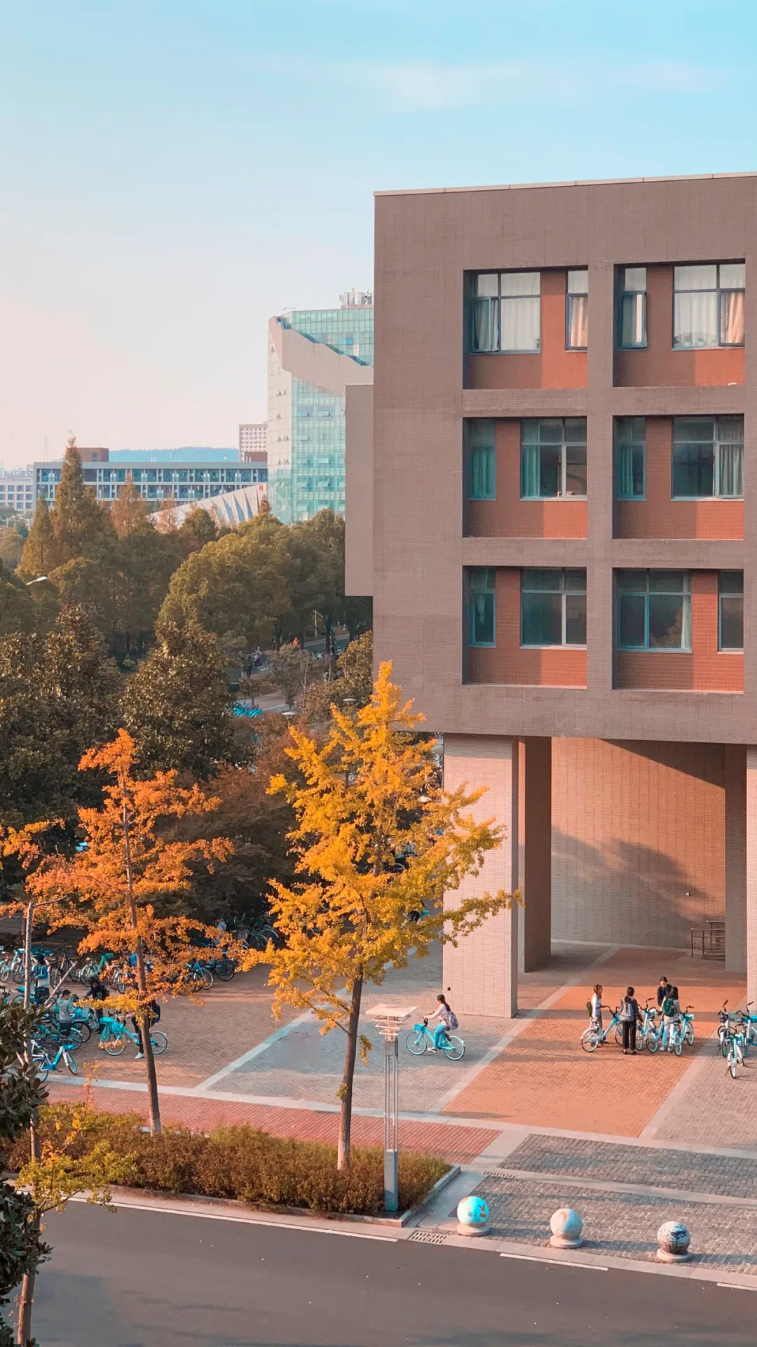 昔日亚洲第一的高校，如何变成“中国最温和的大学”？