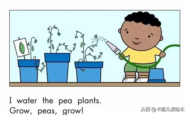 「英文有声绘本」蔬菜，快快长大《Grow,Vegetables,Grow!》