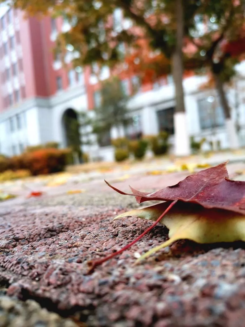 辽宁工程技术大学，来了