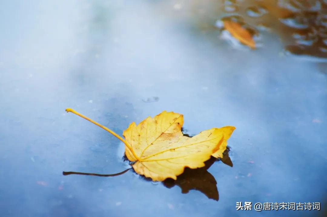 夜山闻秋雨，空阶滴到明