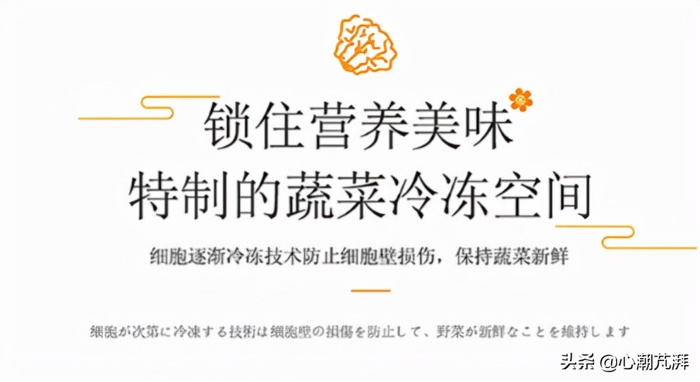 系统分析冰箱德系日系区别，附上11款神机作业给你学