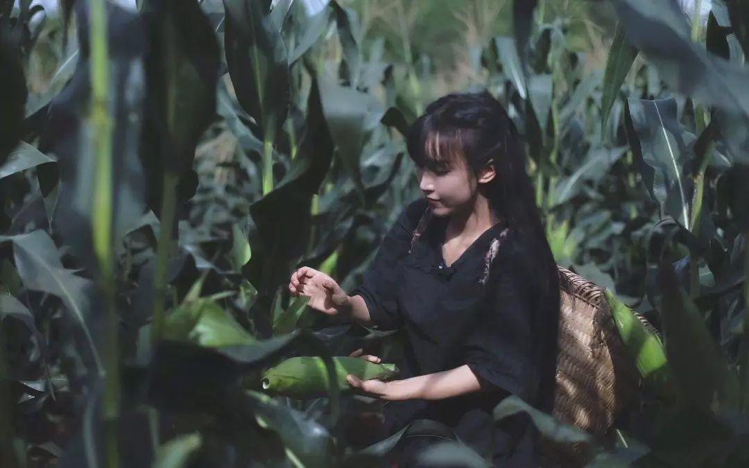 李子柒选择性单身：农村女孩人生逆袭背后的孤独
