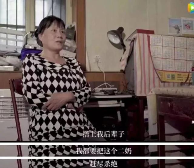 二奶（二奶杀手）