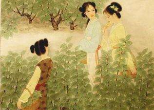 “窈窕淑女，君子好逑”：《诗经》第一篇，为何要写采摘荇菜？