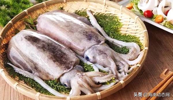 海魚圖片大全,海魚圖片大全及名稱