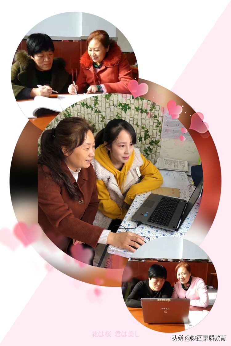 春风化雨浓 砥砺教育真——记西安市高陵区鹿苑中学教师高卓利