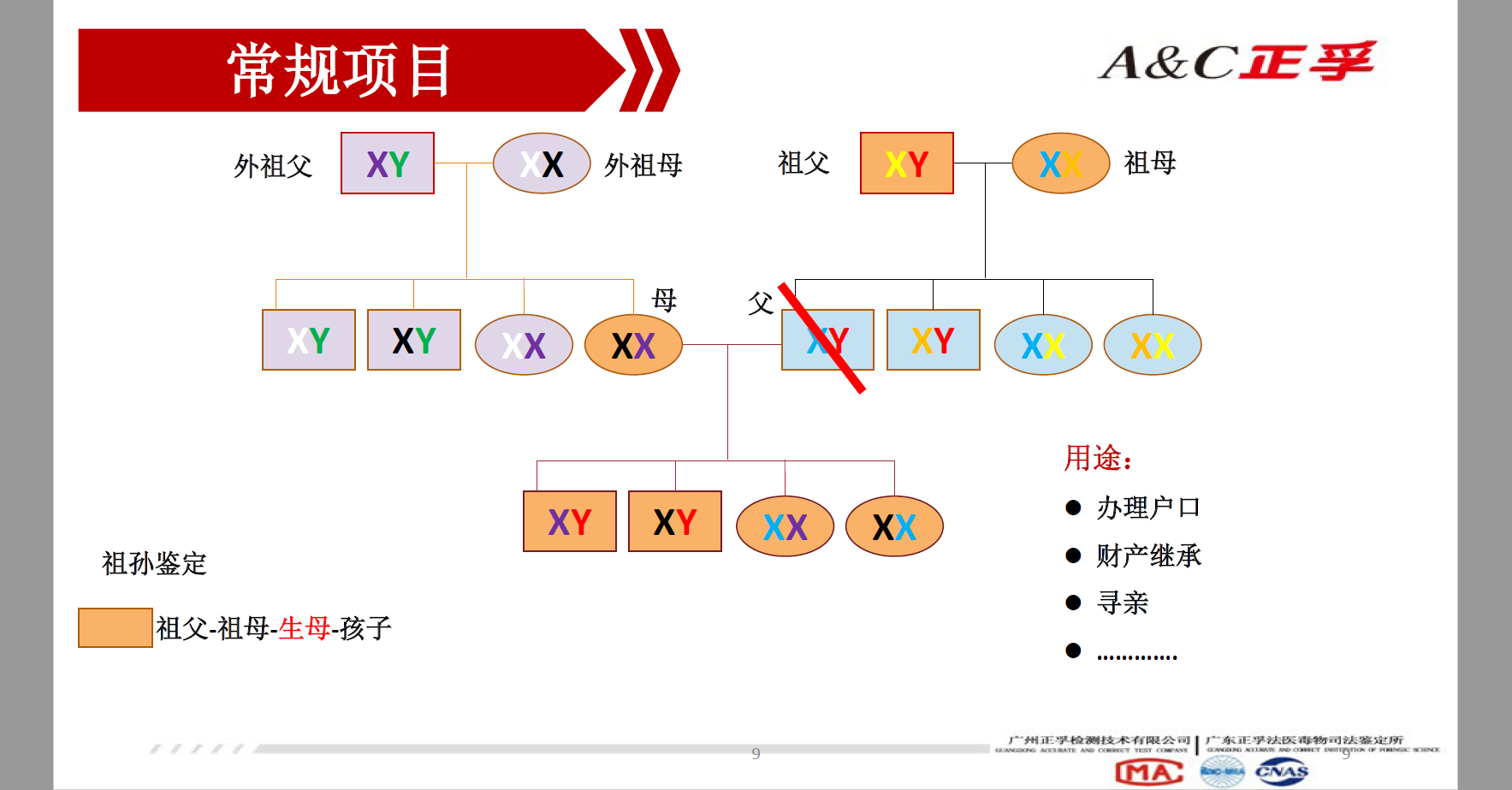 亲缘鉴定,亲缘鉴定和亲子鉴定的区别