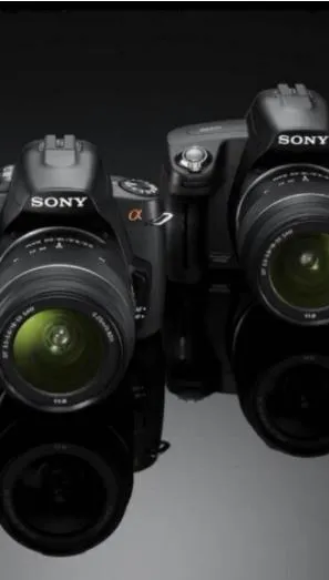 赞摄影家李树桐诗六首