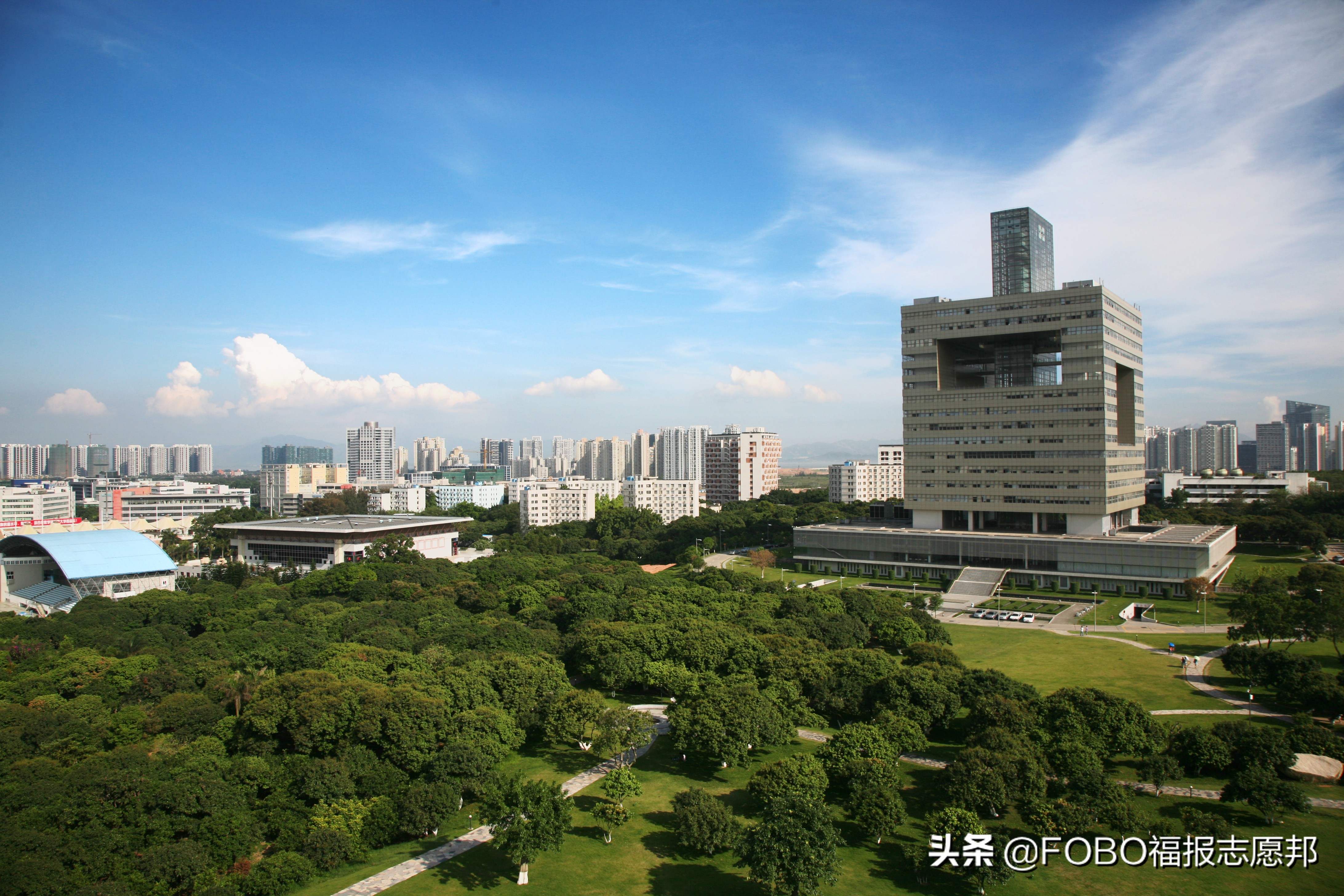 福建娃考广东｜「深圳大学」2021招生章程重点解读