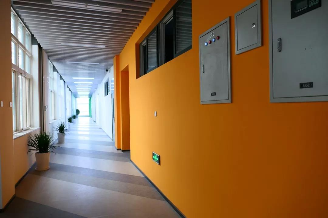 2020高考新热门！央媒聚焦：长安大学新增